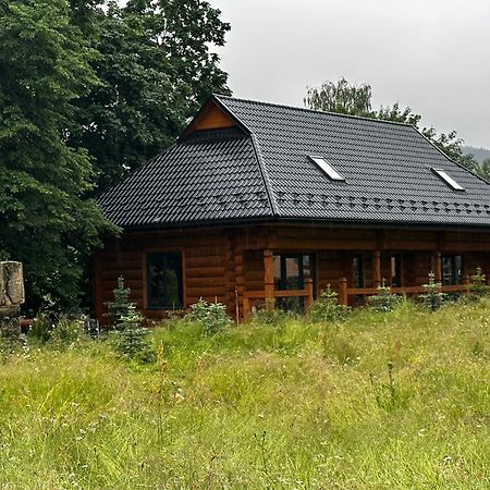 Willa Chalet Pidstromom Mikuliczyn Zewnętrze zdjęcie