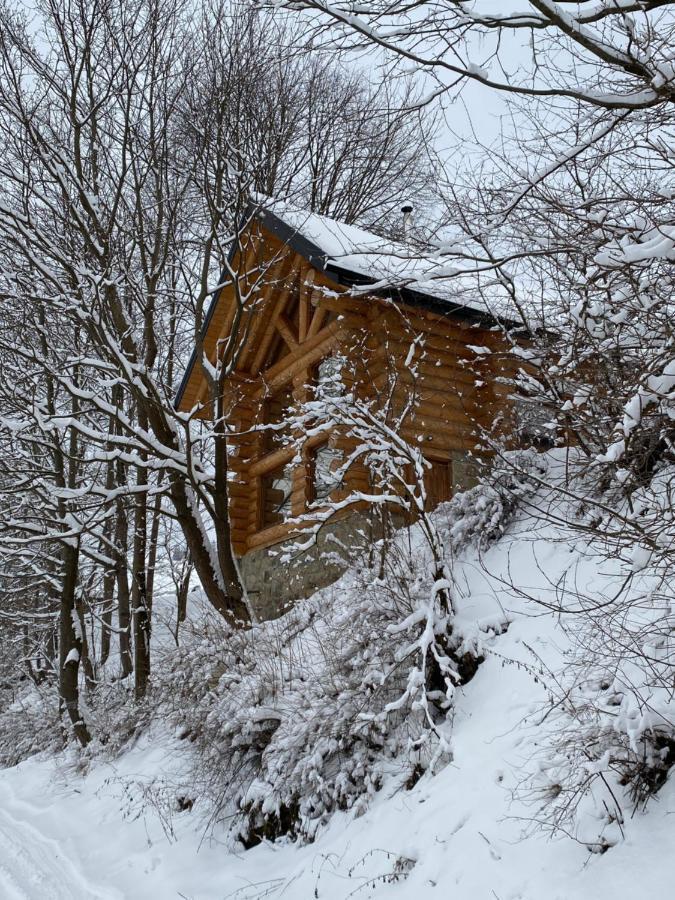 Willa Chalet Pidstromom Mikuliczyn Zewnętrze zdjęcie